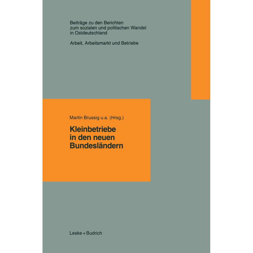 Kleinbetriebe in den neuen Bundesländern, Fachbücher von Martin Brussig