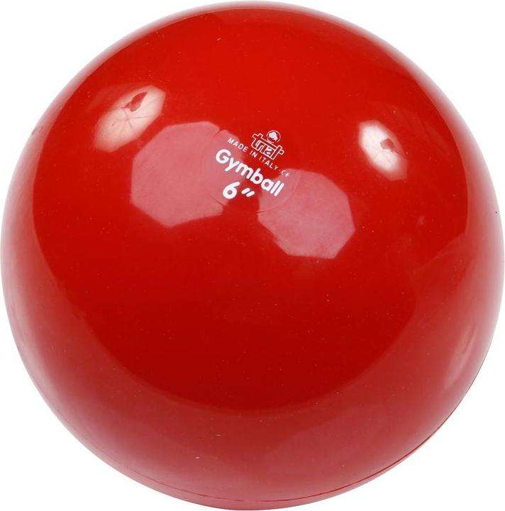 Immagine prodotto Trial ® Gymnastikball
