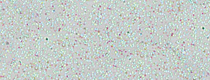 Produktbild Marabu Window Color Fun & Fancy (glitter-eis, 80 ml)