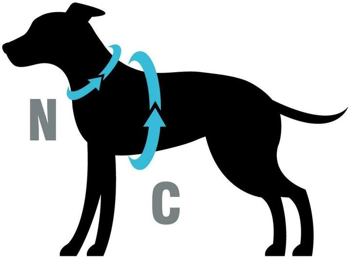 Actual product image Petlando Harness Y-Comfort Mesh, Anthracite (XS, Dog, General)
