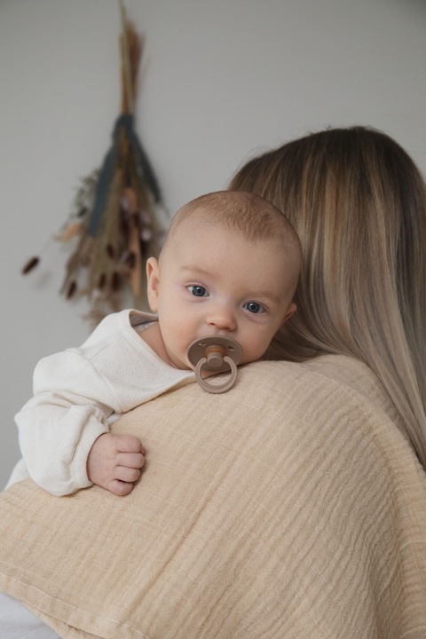 Actual product image Bibs Colour Latex Soother (symmetrical, 6-18 months), Sage & Ivory (2 x, 6 - 12 M.)