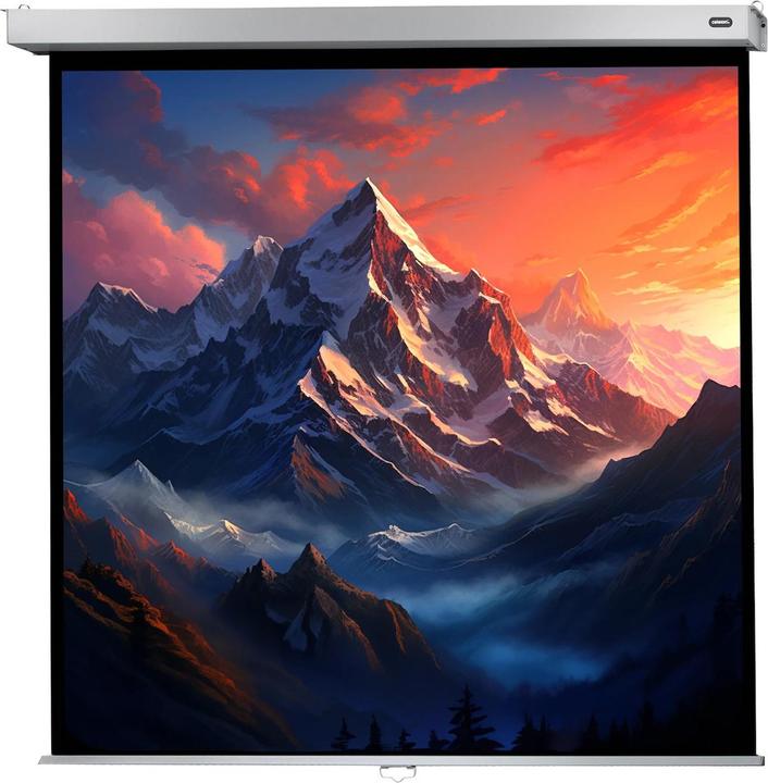 Produktbild Celexon Rollo Professional (122.44", 1:1)