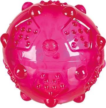 Image du produit Trixie Ball (Jouet à balle chien)