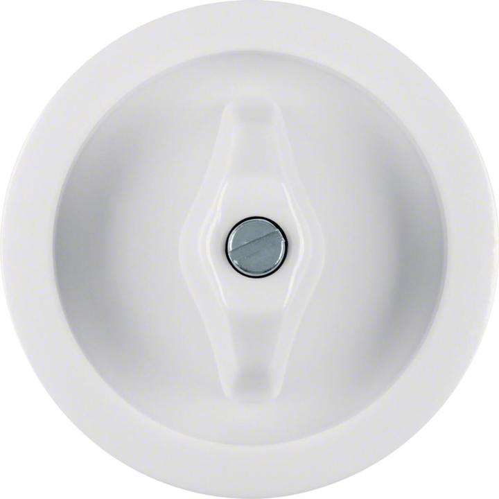 Produktbild Berker Zentralstück