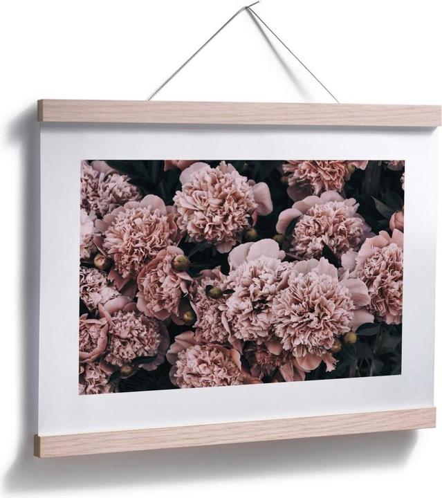 Immagine prodotto Trenddeko Peonie rosa (40 x 30 cm)