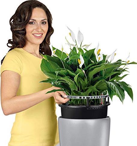 Actual product image Lechuza Rondo (40 x 75 cm)