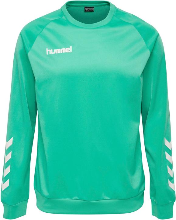 Actual product image hummel Promo Kids Poly Sweatshirt (164)