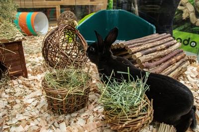 Produktbild Happy Pet Wilgen Hooirek