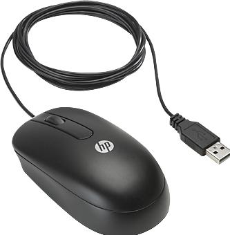 Image du produit HP souris optique USB à défilement (Filaire)