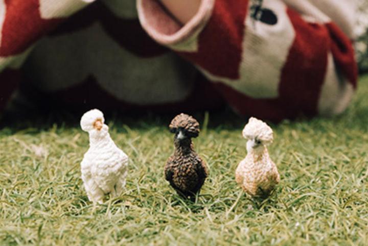 Image du produit Schleich Poules Amies