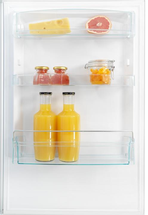 Actual product image Snaige RF53SM-S5JJ2E0 (267 l)