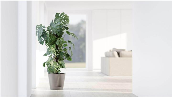 Produktbild Ecopots Venice 2 (30 x 27.50 cm)