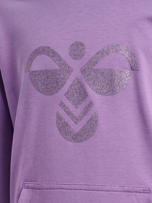 Image du produit hummel hmlCUATRO HOODIE (110)