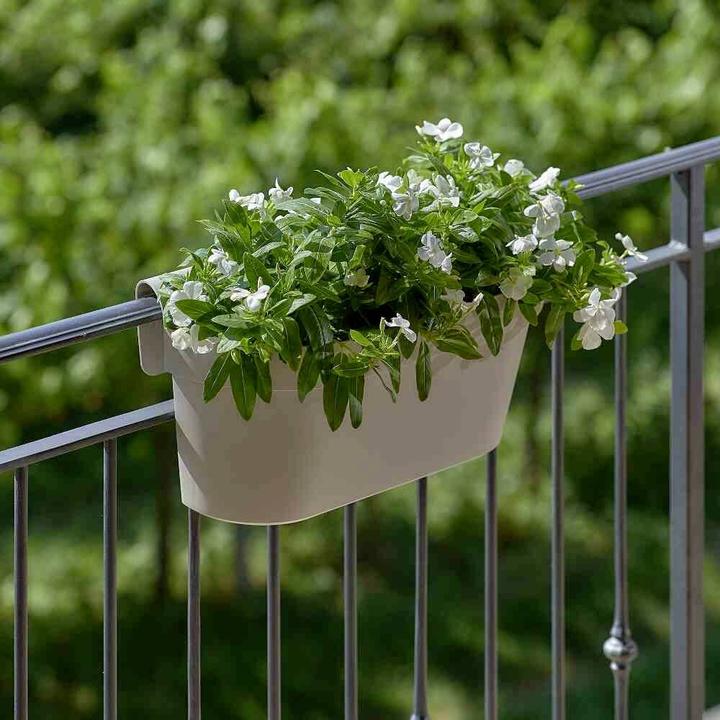 Image du produit Euro3plast Cassetta UP (50 cm)