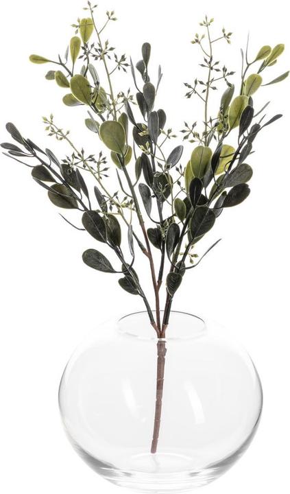 Actual product image Fiebiger Sedum (42 cm)