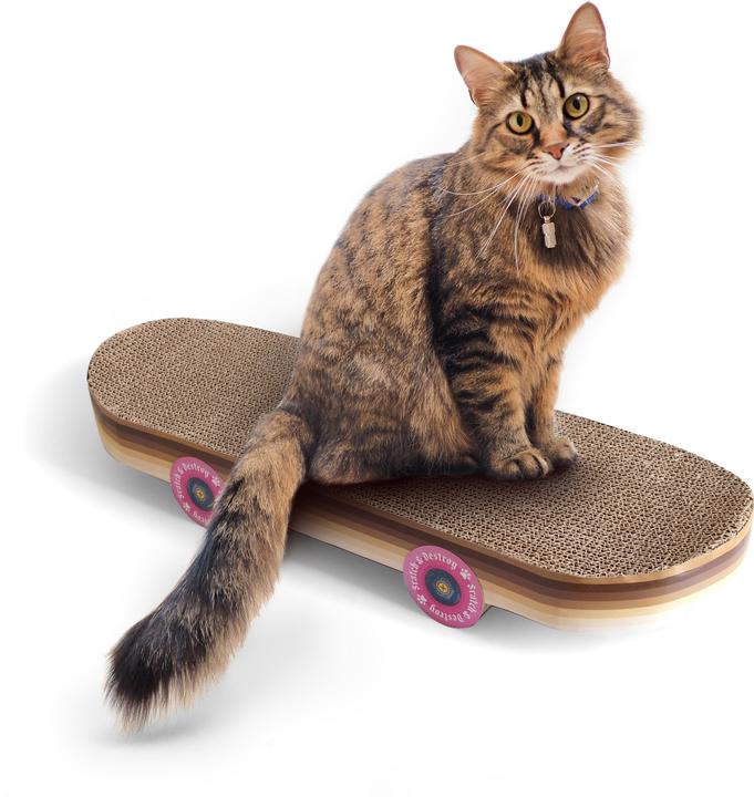 Image du produit Suck UK Planche à roulettes (Jouet à gratter chat)