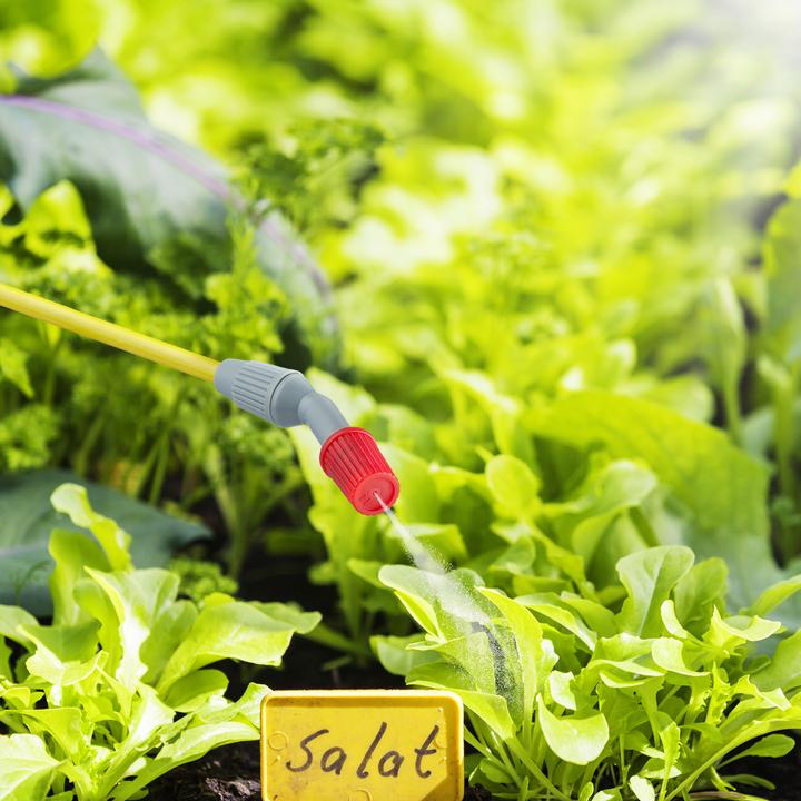 Actual product image Relaxdays Pressure sprayer (5 l)