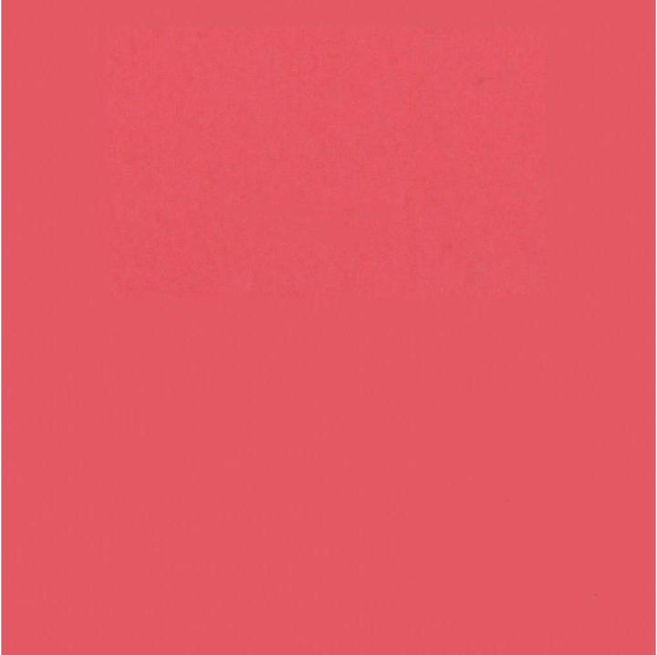 Image du produit Savage Fond 2.72 x 11m Flamingo (272 cm, 1100 cm)