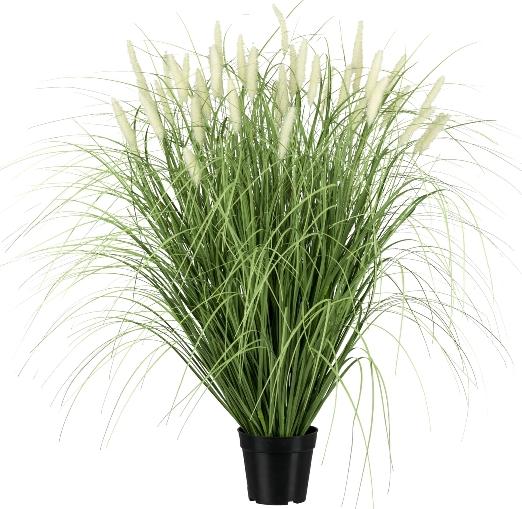 Gasper Pennisetum-Gras im Topf, Grn H: 90 cm (90 cm) - Galaxus