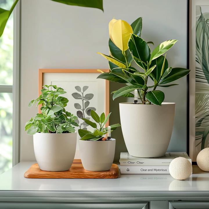 Produktbild T4U Selbstwässernder Blumentopf