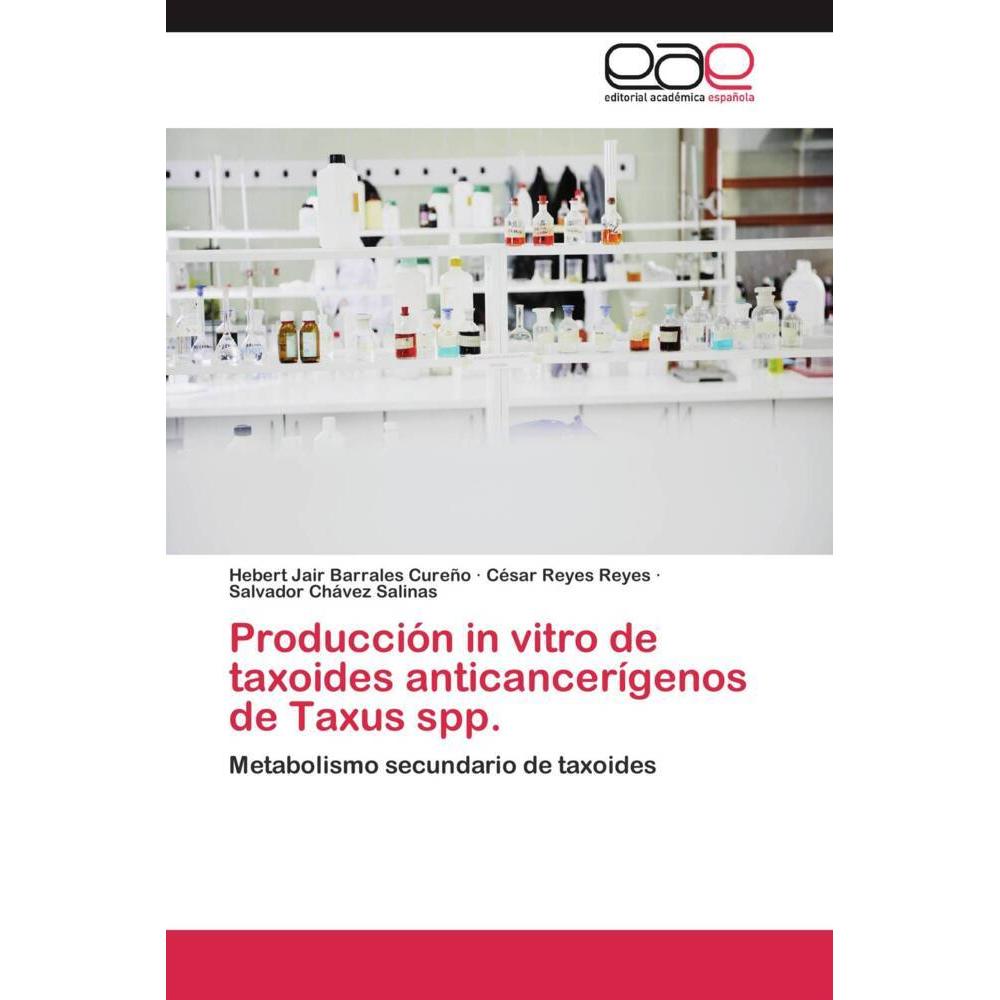 Producción in vitro de taxoides anticancerígenos de Taxus spp., Fachbücher von Hebert Jair Barrales Cureño, César Reyes ...
