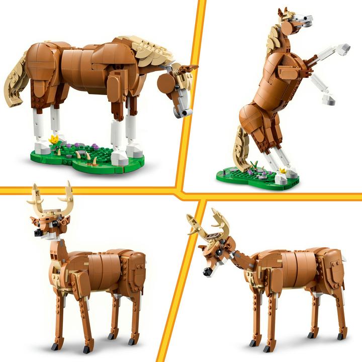 Image du produit LEGO Prächtiges Ross (31166, LEGO Creator 3-in-1)