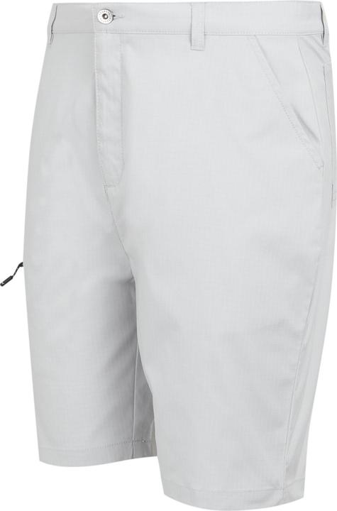Actual product image Regatta Mens Dalry Multi Pocket Shorts (33)