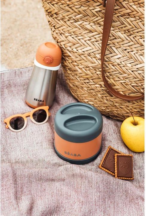 Actual product image Beaba Inox Portion Iso 500ml grey/terracotta