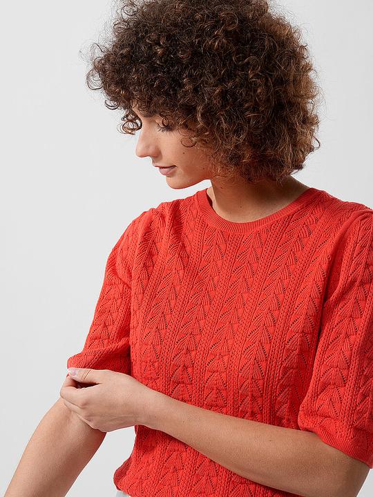 Produktbild Lanius 14567 (34)