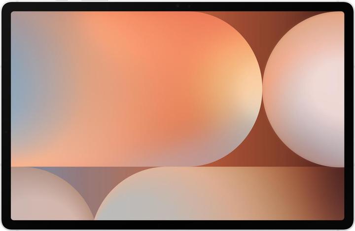 Actual product image Samsung Gal Tab S10+/SM-X826B/5G/12+256GB/Silver (5G, 12.40", 256 GB, Platinum, Silver)
