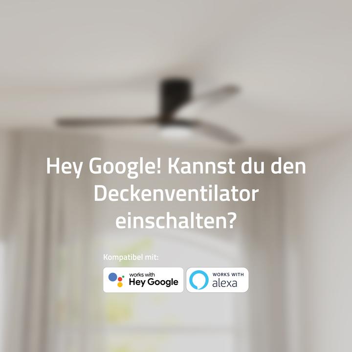Image du produit Hombli Deckenventilator mit Licht (43 dB)