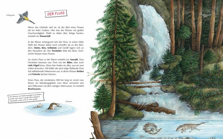 Produktbild Komm mit zum Wasser! (Deutsch, Susanne Riha, 2021)