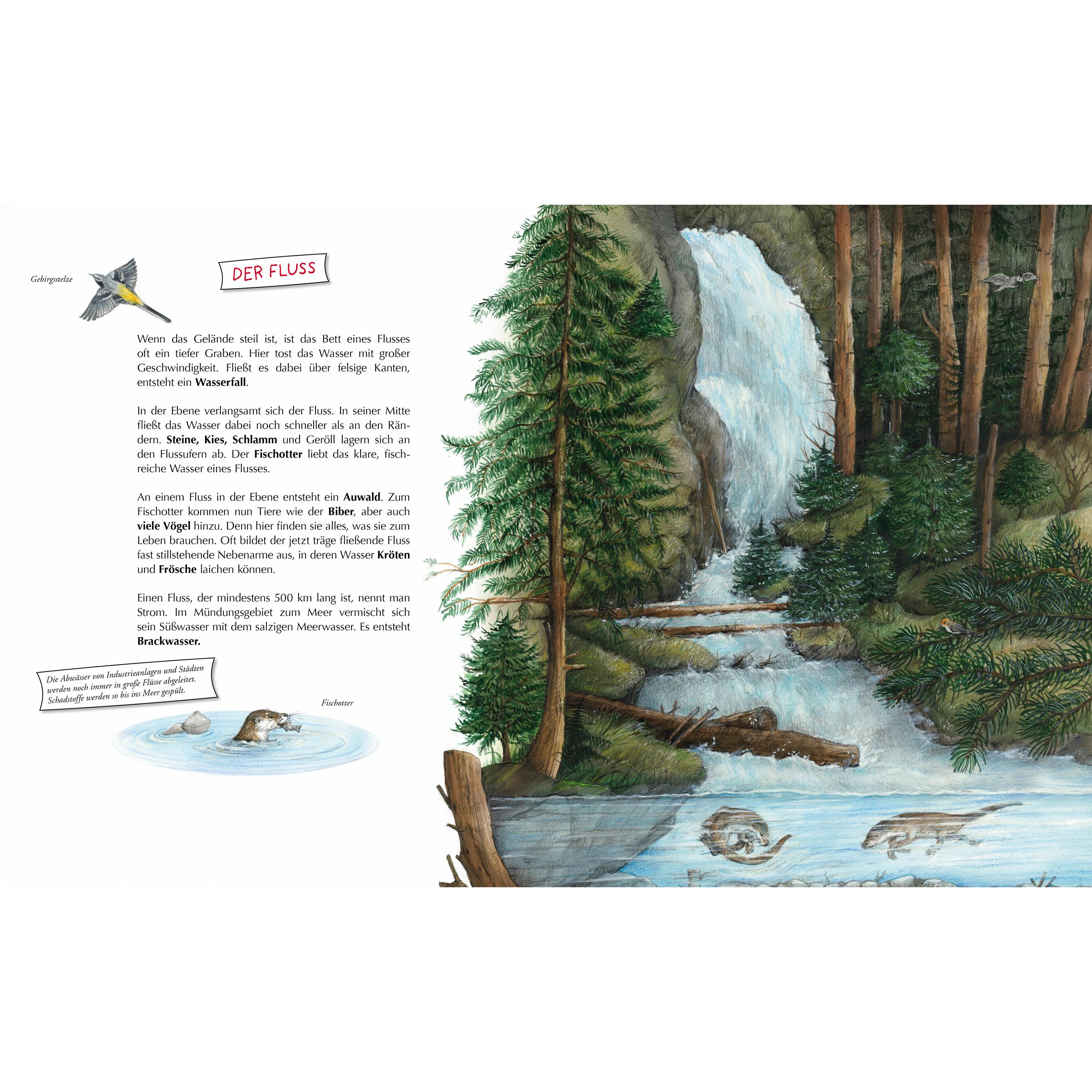 Thumbnail - Komm mit zum Wasser!, Kinderbücher von Susanne Riha