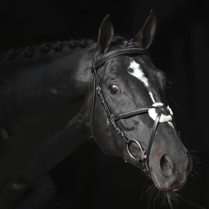 Productafbeelding Kerbl Snaffle hoofdstel Cancun zwart, Cob