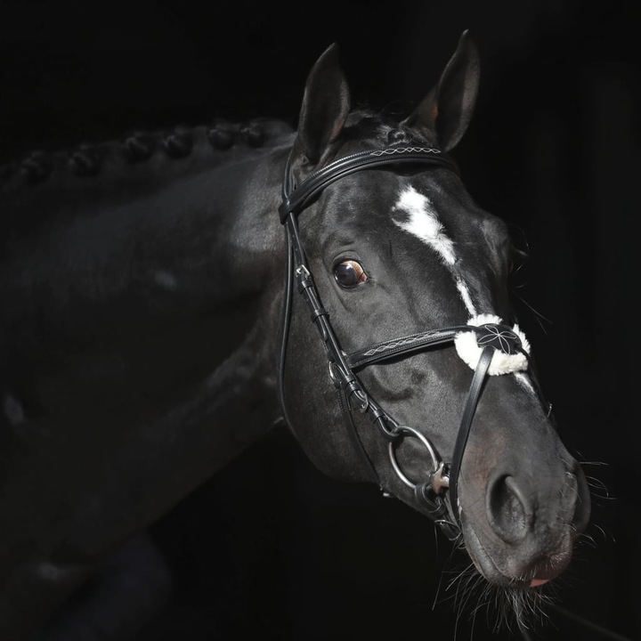 Actual product image Kerbl Snaffle bridle Cancun black, Cob