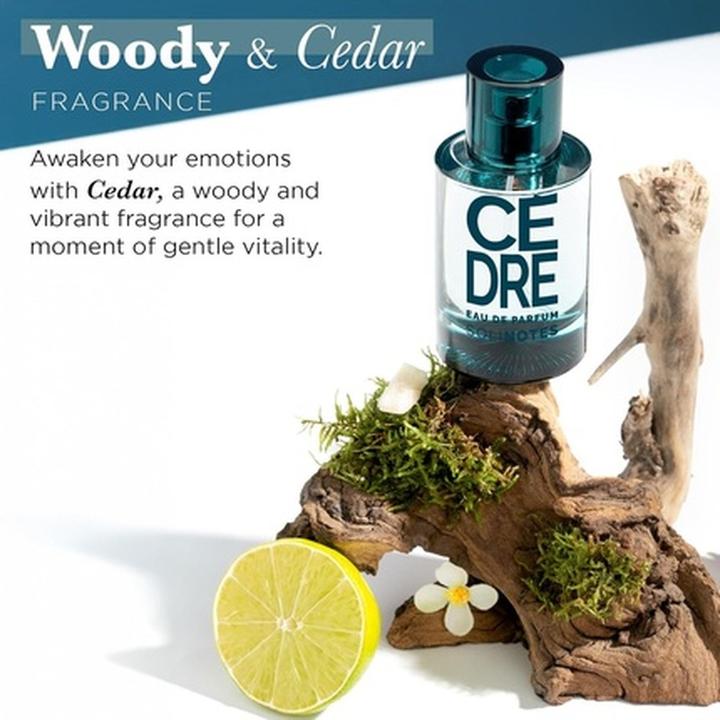 Immagine prodotto Solinotes Cèdre Eau de Parfum (Eau de parfum, 50 ml)