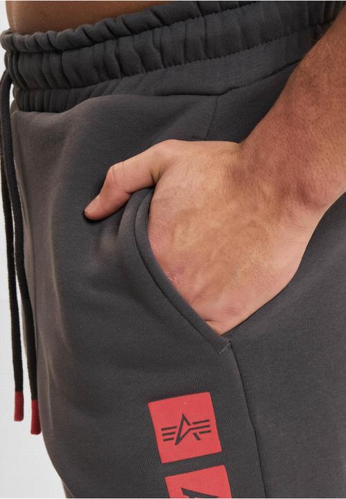 Image du produit Alpha Industries PP Shorts - 145443 (3XL)