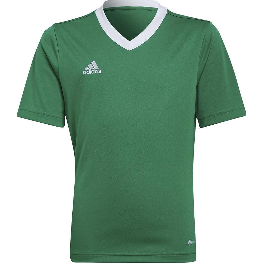 adidas, Jungen, Sportshirt, Entrada 22 Trikot (116), Grün, 116