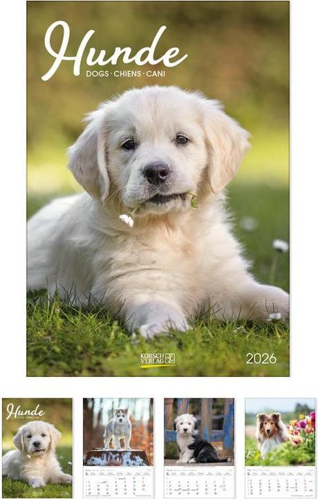 Image du produit Hunde 2026 (23,5 x 3 cm)