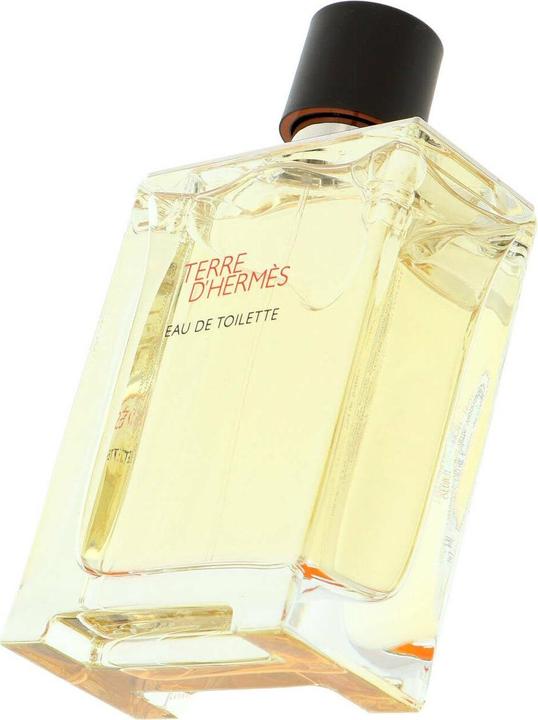 Image du produit Hermès Terre D' (Eau de toilette, 100 ml)