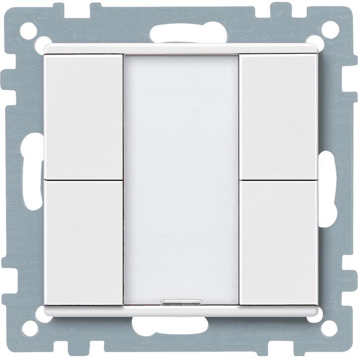 Polar White, Polarweiss