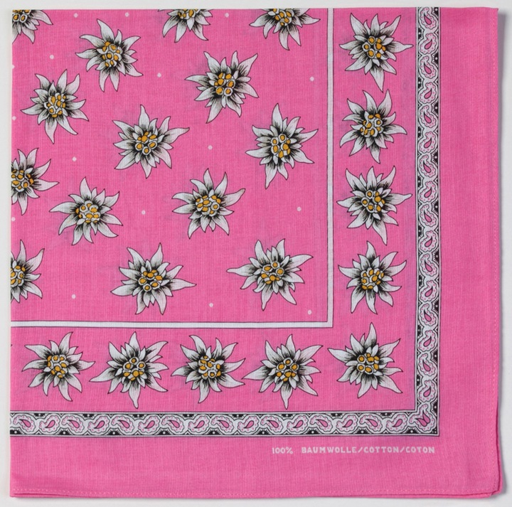 Rosa