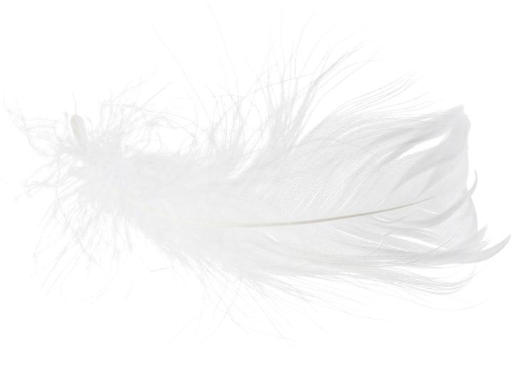 Immagine prodotto VBS Piume d'oca, 20 g