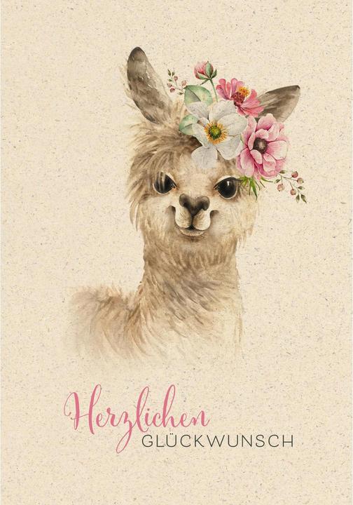 Lama (1 pcs.)