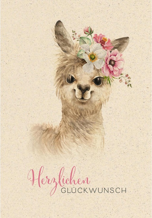Lama (1 pcs)