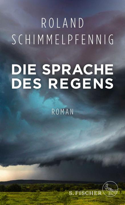 Produktbild Die Sprache des Regens (Deutsch, Roland Schimmelpfennig, 2017)