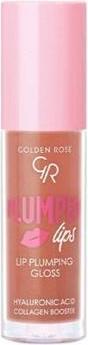 Image du produit Golden Rose Gloss pour le volume des lèvres 205 4.7ml