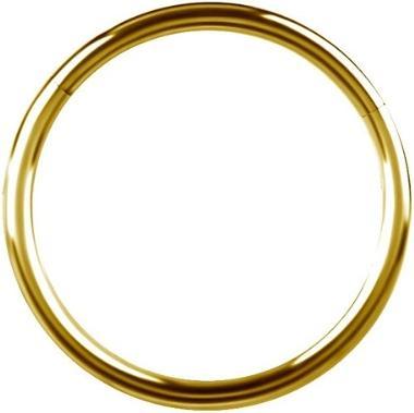 Produktbild Studex Nasenschmuck (Titan)
