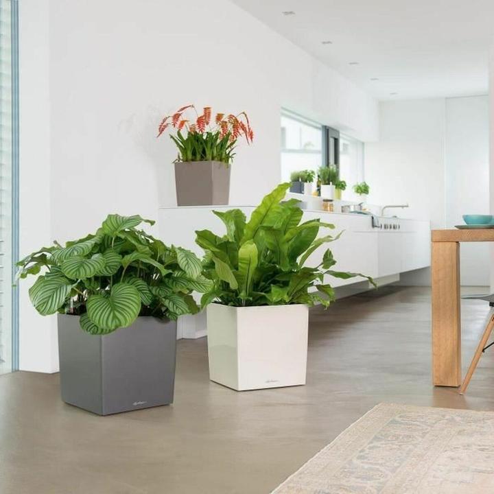 Produktbild Lechuza Cube (39 x 39 x 40 cm)