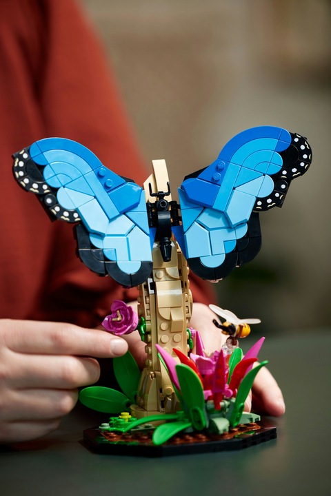 Actual product image LEGO Ideas The insect collection (21342, LEGO Ideas)